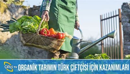 Organik Tarımın Yükselişi: Doğal Besinler ve Sürdürülebilirlik Hareketi